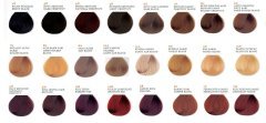 Color Soin 6A Blond Fonce Cendre
